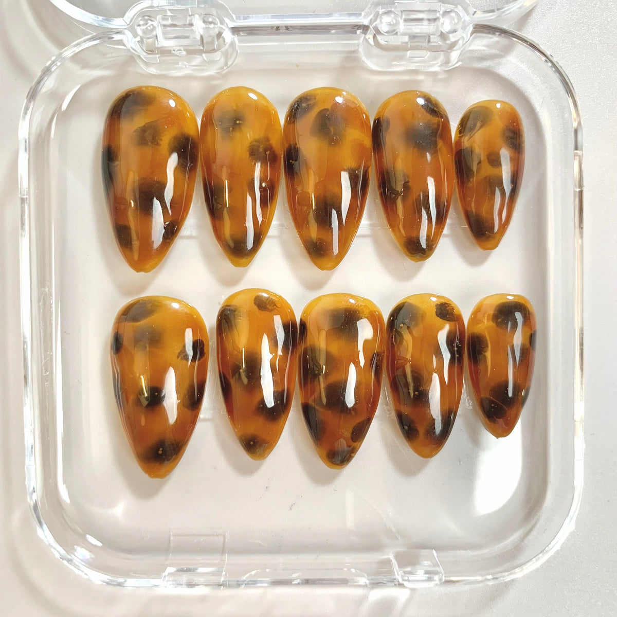 Tortoise Mist